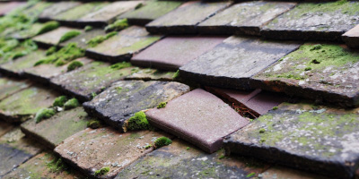 Astwood roof repair costs